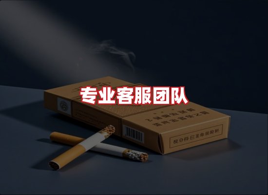 专业团队